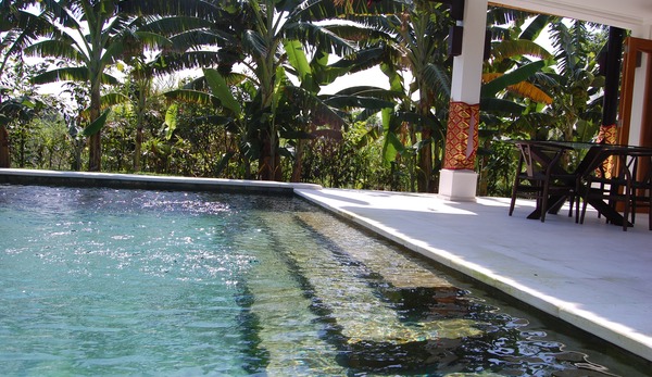 Pool, terrace, garden