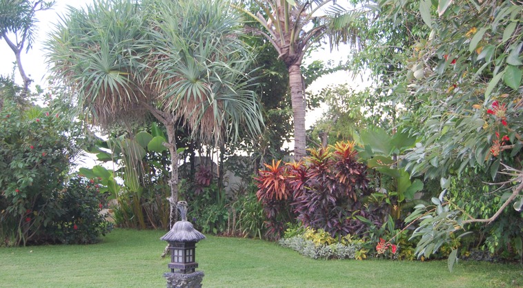 Tropical Garden