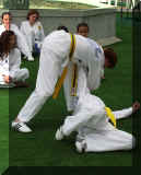 P5280023ar75.JPG (48078 bytes)