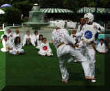 P5280031r75.jpg (42628 bytes)