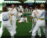 P5280038r75.jpg (45008 bytes)