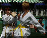 P5280042r75.jpg (40924 bytes)